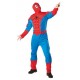Disfraz Spiderman Musculoso Adulto Hombre