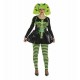 Disfraz Bruja Verde Adulto Mujer
