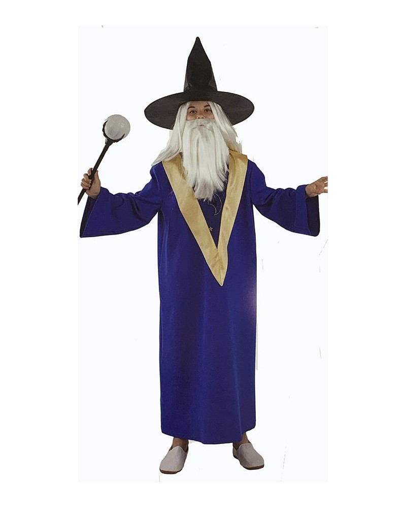 Disfraz Mago Merlin Infantil Niño