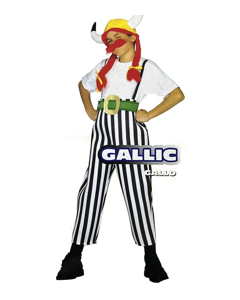 Disfraz Galo Obelix Infantil Niño